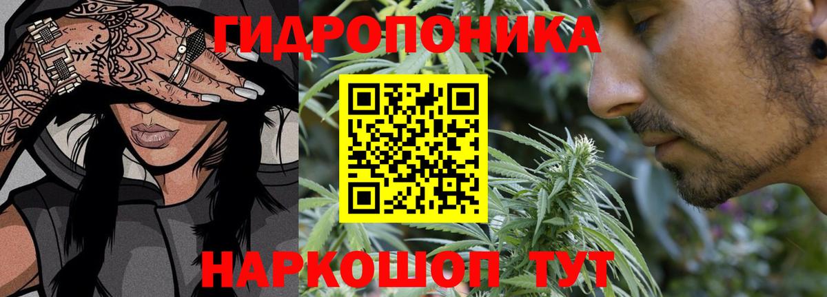 Конопля сатива  Шишки марихуана Ganja  Марихуана гибрид  Бошки марихуана гибрид  Родники  Вход с VPN 